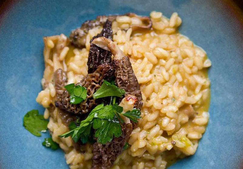 creamy wild morel mushroom risotto.webp